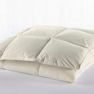 Box-Stitch Goose Down Comforter, Warm