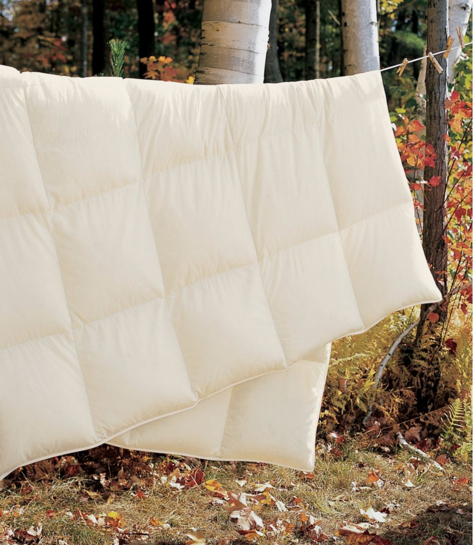 Box-Stitch Goose Down Comforter, Warm - Image 4