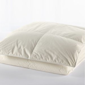 Baffle Box Stitch Goose Down Comforter, Warm