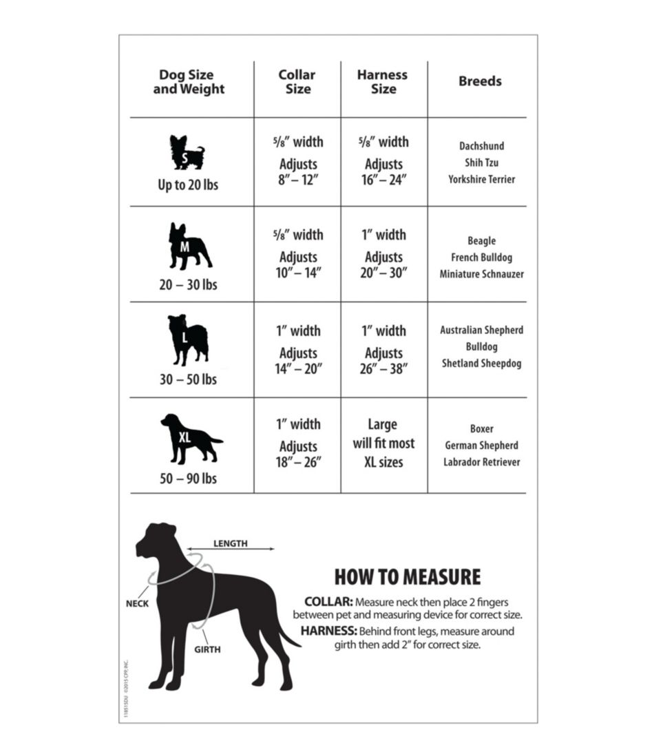 Personalized Pet Collar, Reflective - Image 2